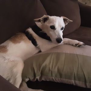 Meet your Posher, Joanne